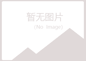 宁夏山柏化学有限公司